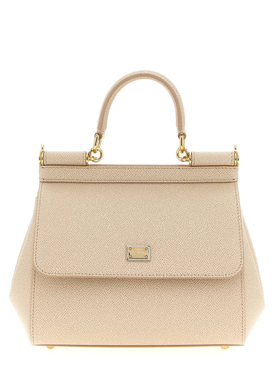 Dolce & Gabbana Multicolor Calfskin Handbag